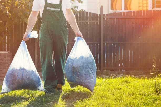 Yard Cleanup Services